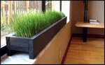 parapet